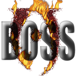 BOSS icon